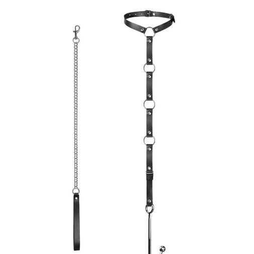 Anal Hooks EverydayUse Hook and Leash Anal 5853 with Collar Kinky 1016